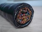 ZR-DJYP2VP2-22-821.5阻燃計算機電纜