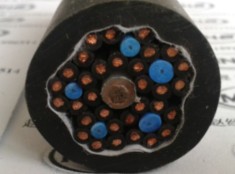 阻燃鋼帶鎧裝計算機電纜ZR-DJYVP22-1621.5